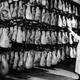 Image for article titled Utterly Disturbing, Century-Old Photos of Meat-Packing Facilities